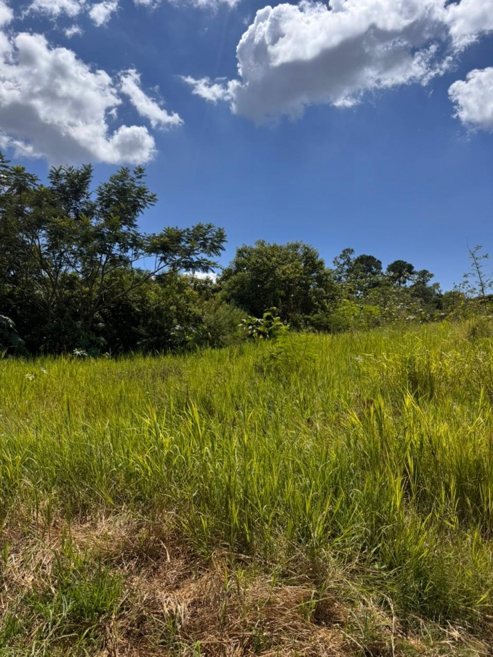 TERRENO EN VENTA 