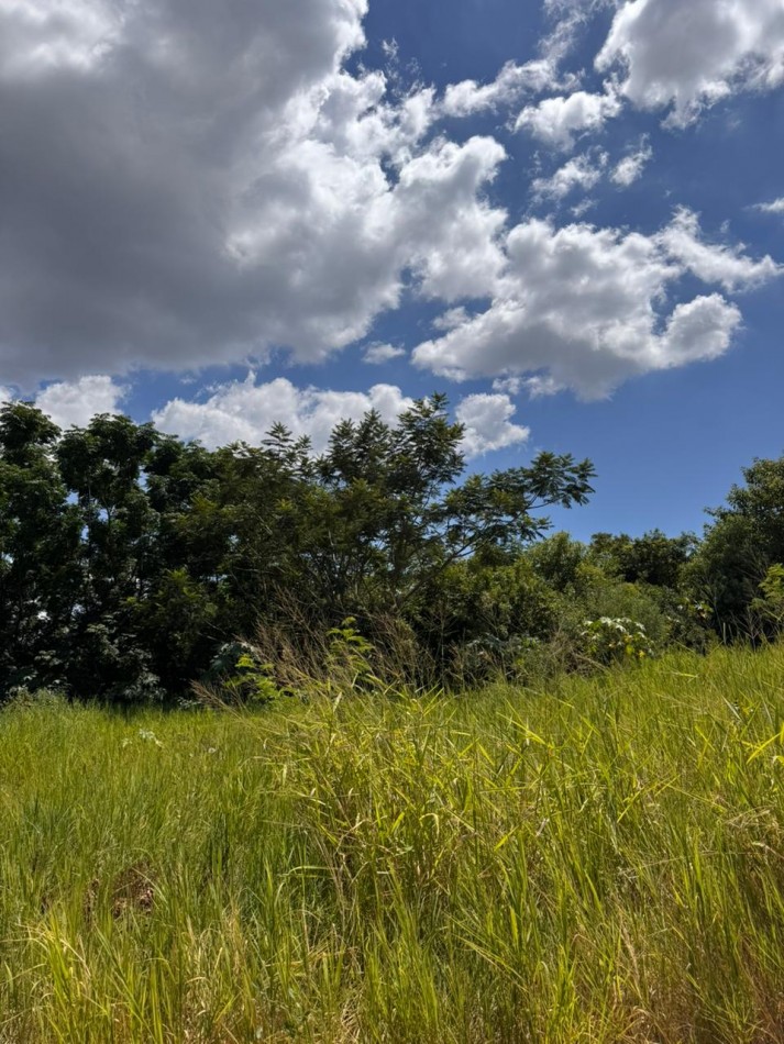 TERRENO EN VENTA 