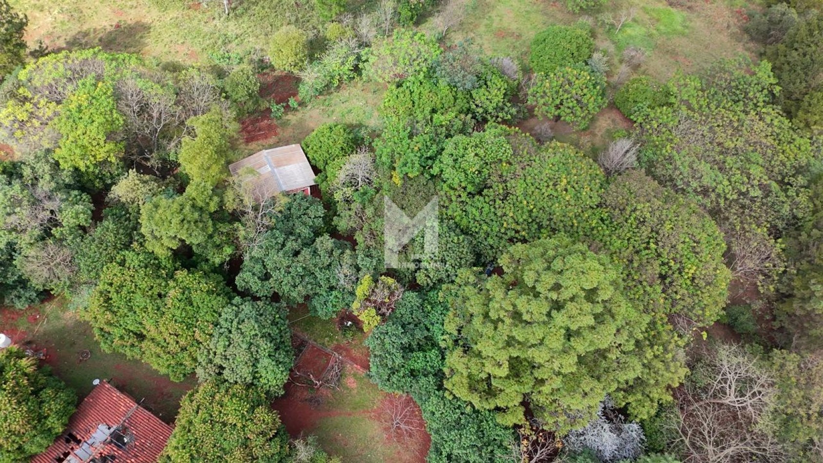 4 HECTAREAS EN VENTA - SAN ISIDRO - POSADAS 
