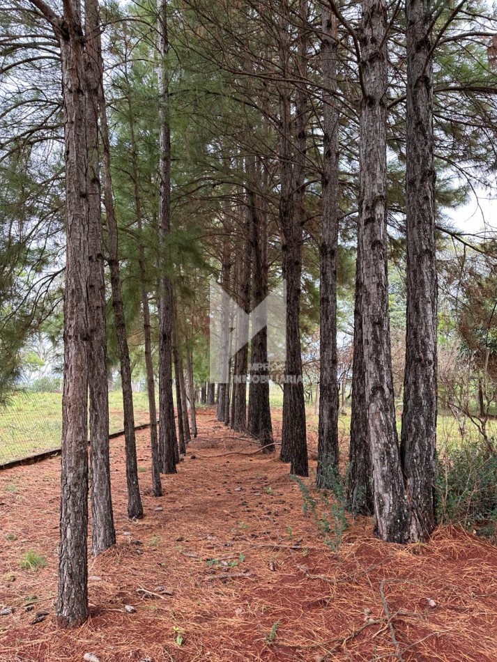 4 HECTAREAS EN VENTA - SAN ISIDRO - POSADAS 